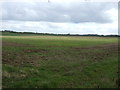 SE3369 : Farmland near Great Givendale by JThomas