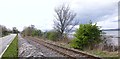 NH5946 : Road and railway alongside the firth by Craig Wallace