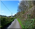 The Lane Approaching Combe