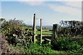 Fingerpost and Stile on Collamore Lane