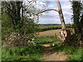 Bridleway from Yessell Farm to Cropthorne