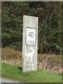 Cannock Chase Boundary Marker