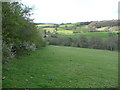 Field edge footpath below Maesgwyn farm near Brechfa Pool