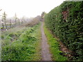 Path near Housing Development