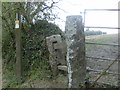 Public footpath to Upton Cross