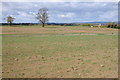 SO7201 : Arable land near Tumygreen Farm by Philip Halling