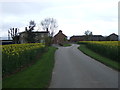 Track to Topcliffe Parks Farm