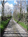 Greenhill Road ascending from a minor valley towards a 90 degree bend