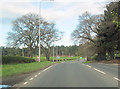 A556 approaching A54 junction