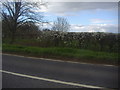 Fields by Badsell Manor farm