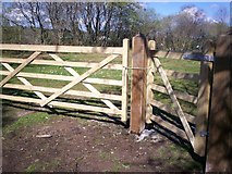 SN1710 : New Gate at The Claypits, Llanteg by welshbabe