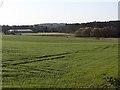 Fields near Bogside