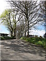 Private tree-lined avenue leading west from Greenhill Road