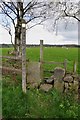 Footpath heading in a northerly direction from the Hollington Road