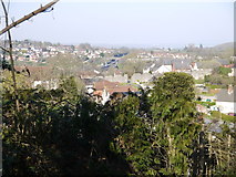 ST5393 : Looking north-east over Chepstow rooftops by Ruth Sharville