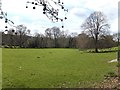 Parkelands open space by the river