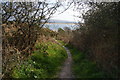 Path off the Llŷn Coastal Path