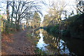 Basingstoke Canal