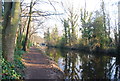 Basingstoke Canal