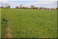 Houses at Wanswell