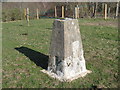 Ordnance Survey Trig Pillar S6288