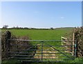 Towards Monckton Farm