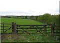 Fields by Nottingham Road