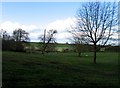 Fields near to Ayston