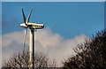 Wind turbines, Craigantlet, Belfast (2 of 3)