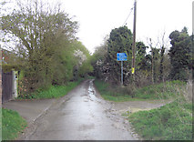 SU5380 : Downs Road ends at Greyladies by Stuart Logan