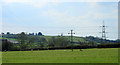 2012 : Sheep pasture and pylon near Wapley