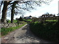 Buildings at Bank Farm