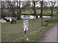 Pond at Burpham Court Farm