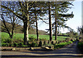 Pasture and lane to Woundale, Shropshire