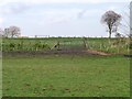 Fenced farmland east of the B6173