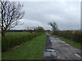 Farm track near Waterloo Farm