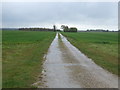 Farm track off Brant Road (bridleway)