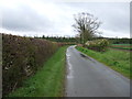 Dycote Lane towards Welbourn