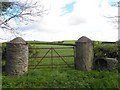 Round pillars and gate, Ballyblack