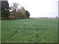 Farmland, Harmston Low Fields