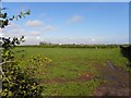 Ballyferis Townland