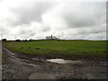 NZ3345 : Farm track near High Moorsley Farm by Robert Graham
