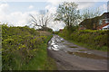 The track by Pestfurlong Moss