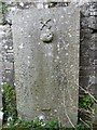 Interesting Gravestone at Cargill Cemetery