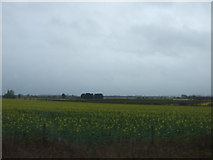 SK8747 : Farmland, Doddington Littlegate by JThomas