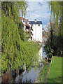 Great Stour past The Old Tannery