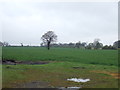 Farmland, Haddington