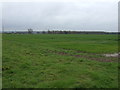 Farmland off Blackmoor Road