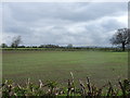 Farmland, Carlton-le-Moorland