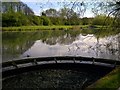 Stonydelph Lakes